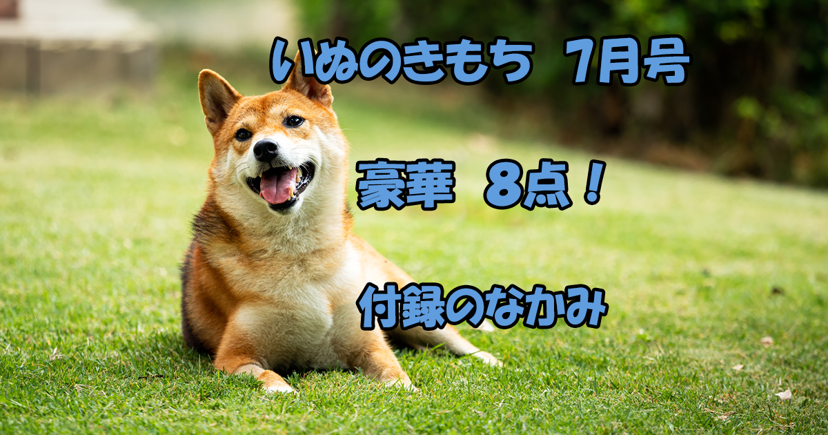 いぬのきもち　7月号　雑誌　付録